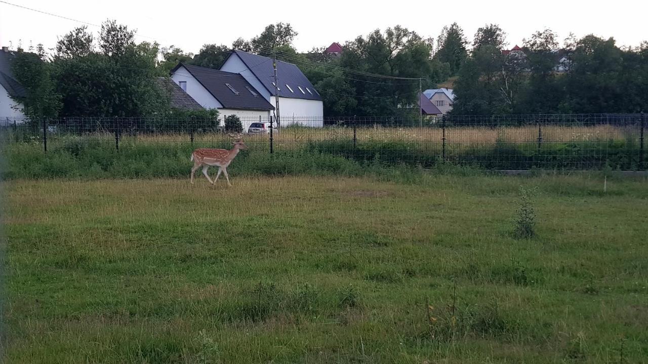 Ranczo pod Babią Górą Apartamento Lipnica Wielka Exterior foto